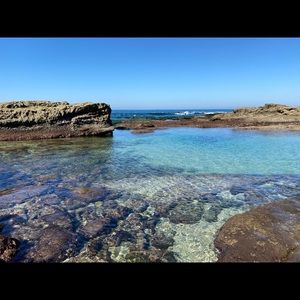 Meet your Posher, Lenny